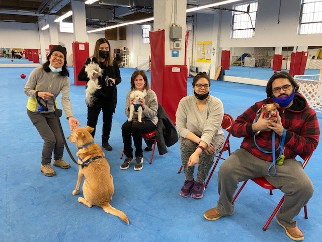 Port chester hotsell obedience school